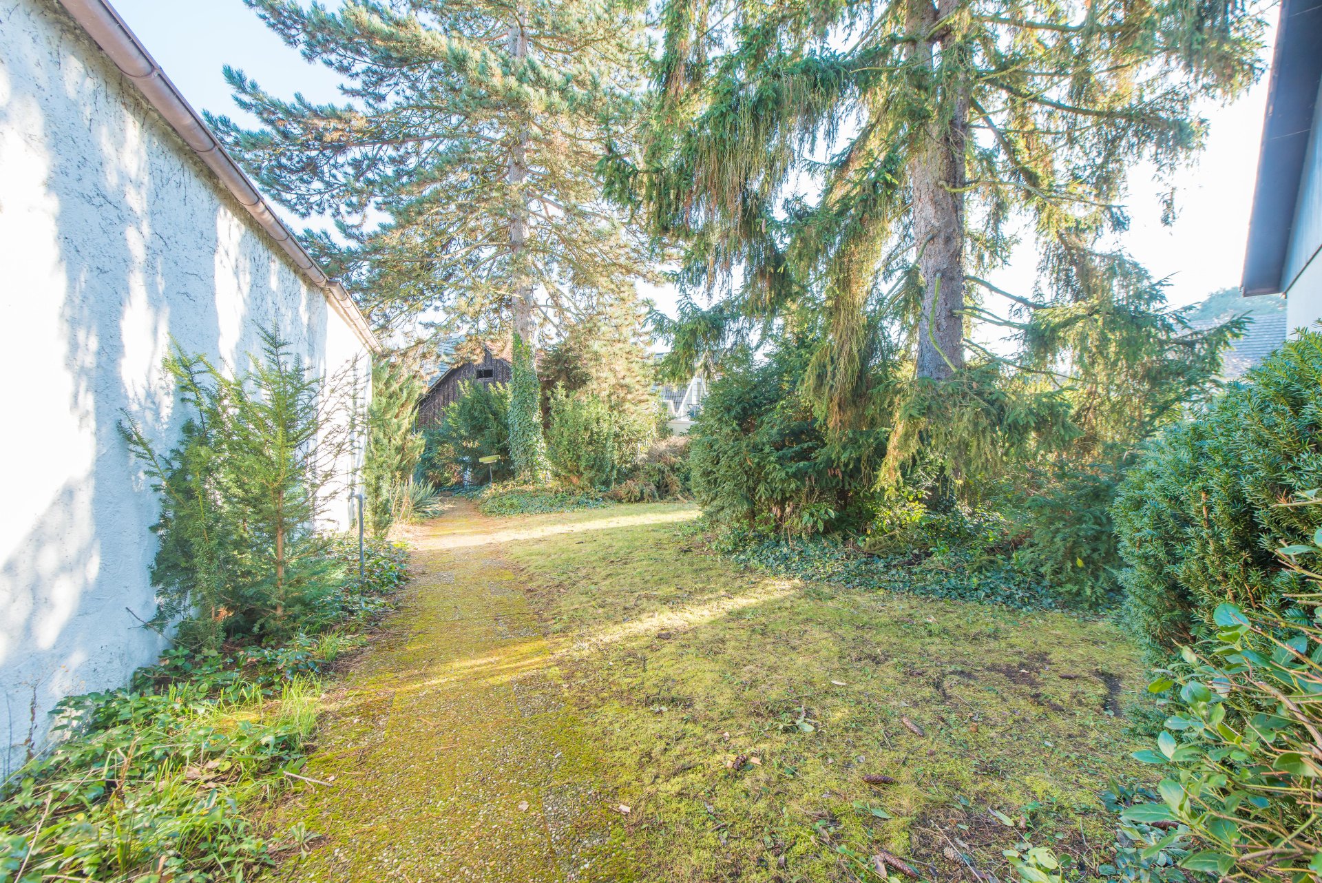 Zugang zum Carport und zum Eingang - Oliver Reifferscheid - Immobilienmakler Darmstadt