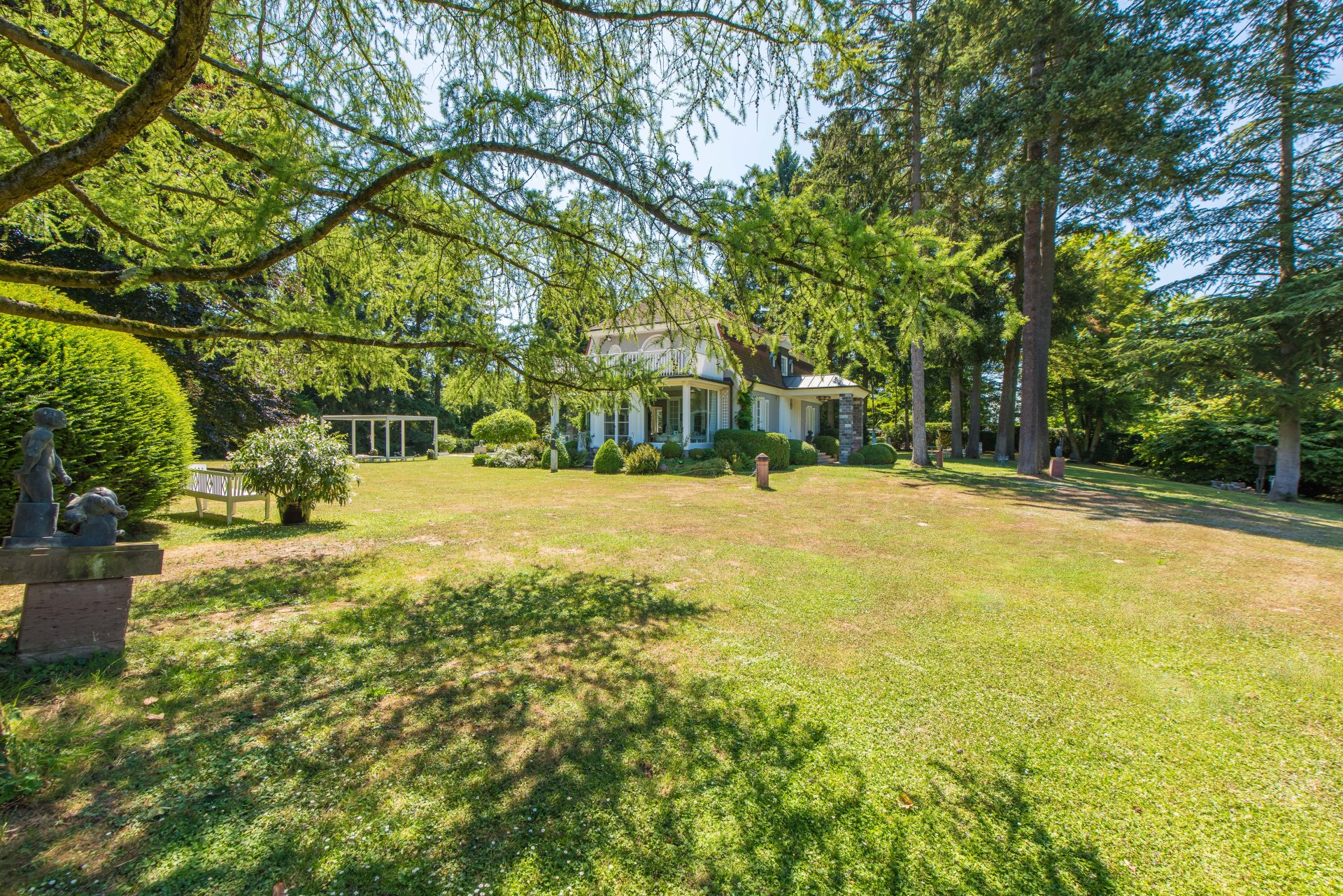 Das sonnendurchflutete Grundstück ist überhaupt nicht so waldig wie es hier wirkt  - Oliver Reifferscheid - Immobilienmakler Darmstadt