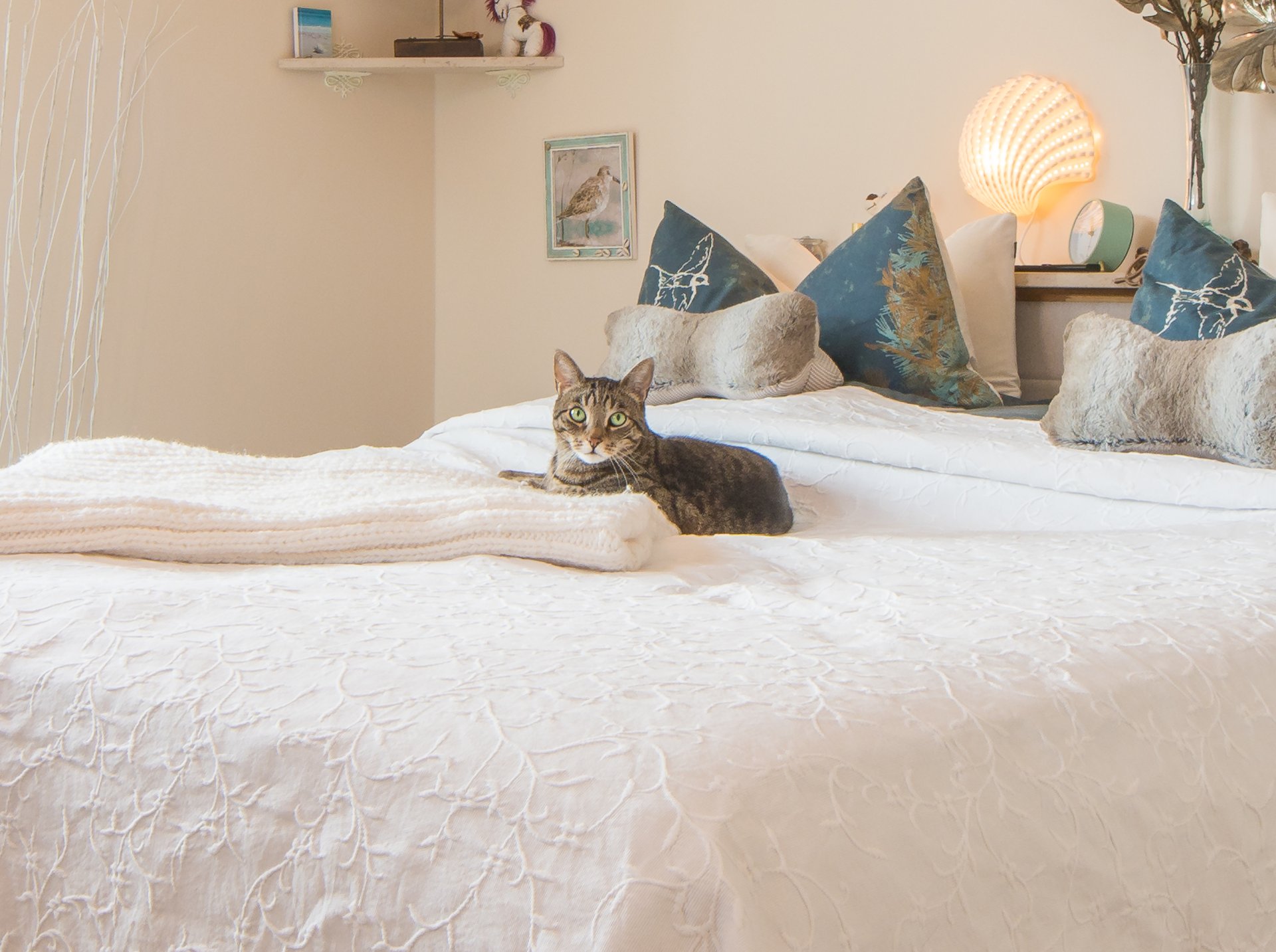 Katze genießt die frische Luft dank Klima- und Belüftungsanlage - Oliver Reifferscheid - Immobilienmakler Darmstadt