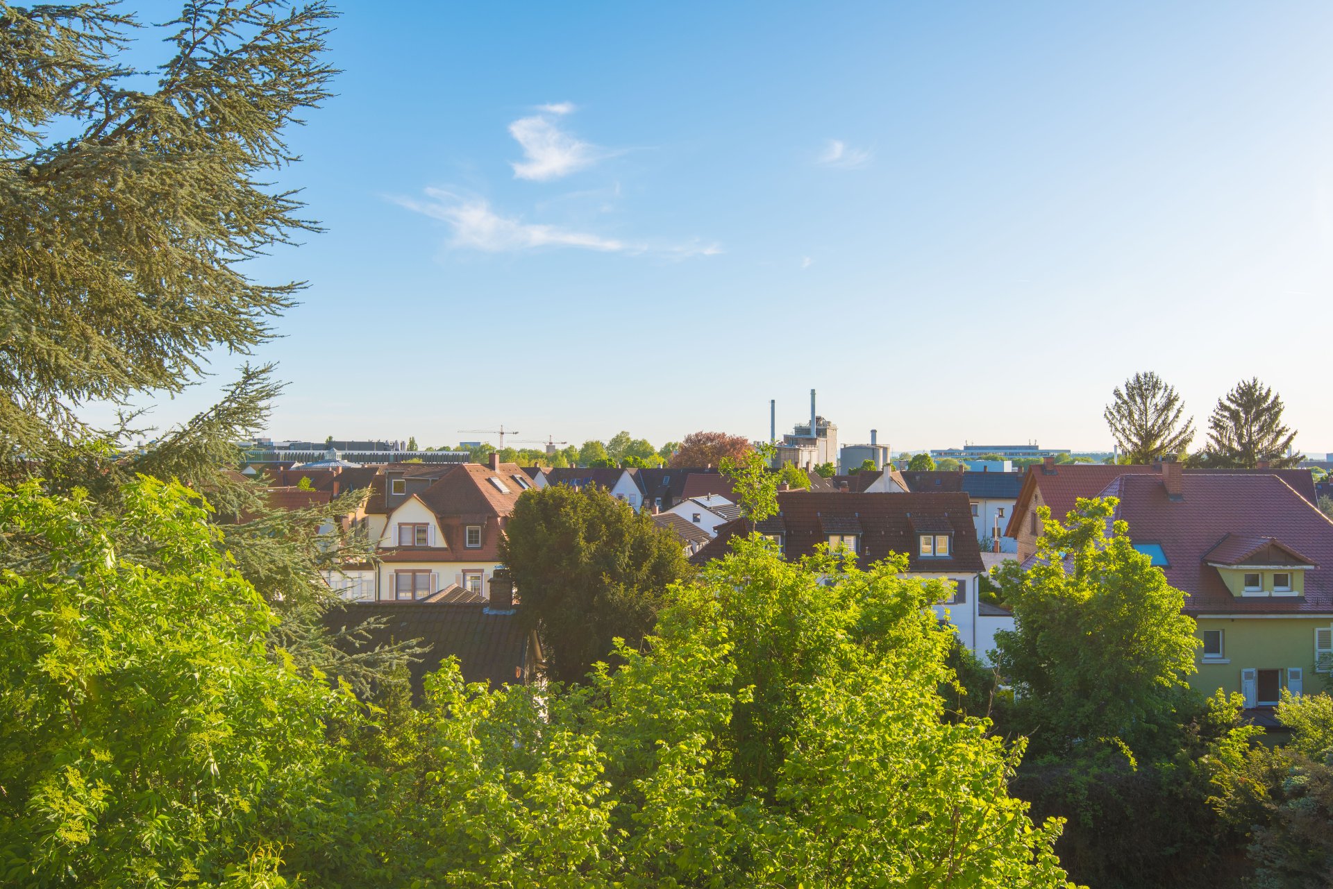 Blick vom Westbalkon - Oliver Reifferscheid - Immobilienmakler Darmstadt