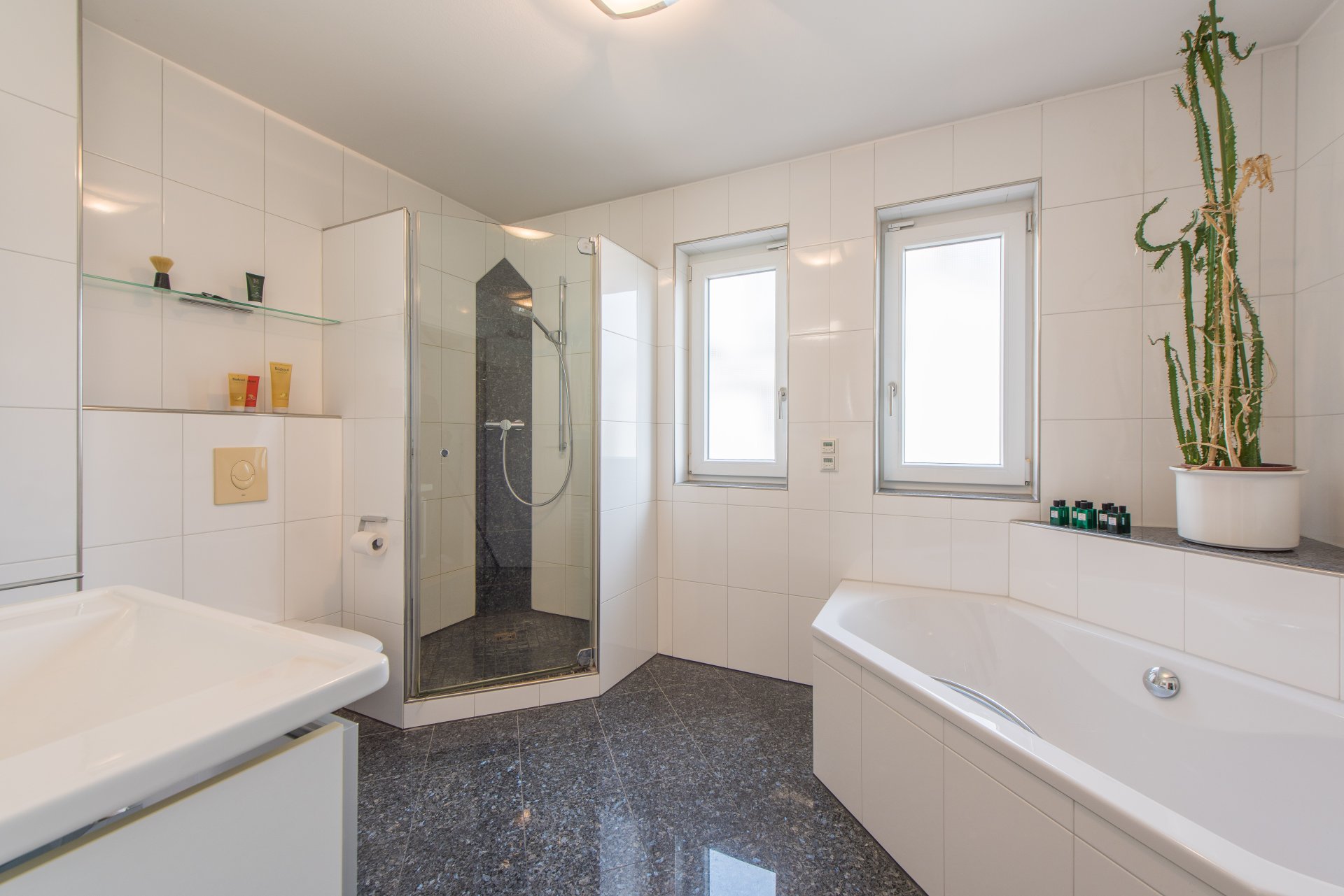 Tageslichtbad mit Badewanne, Dusche, Waschtisch und WC - Oliver Reifferscheid - Immobilienmakler Darmstadt