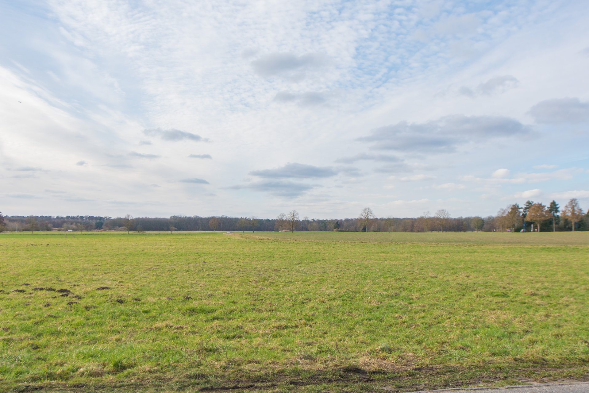 Feldrandnähe super für die Kinder und die Hunde - Oliver Reifferscheid - Immobilienmakler Darmstadt