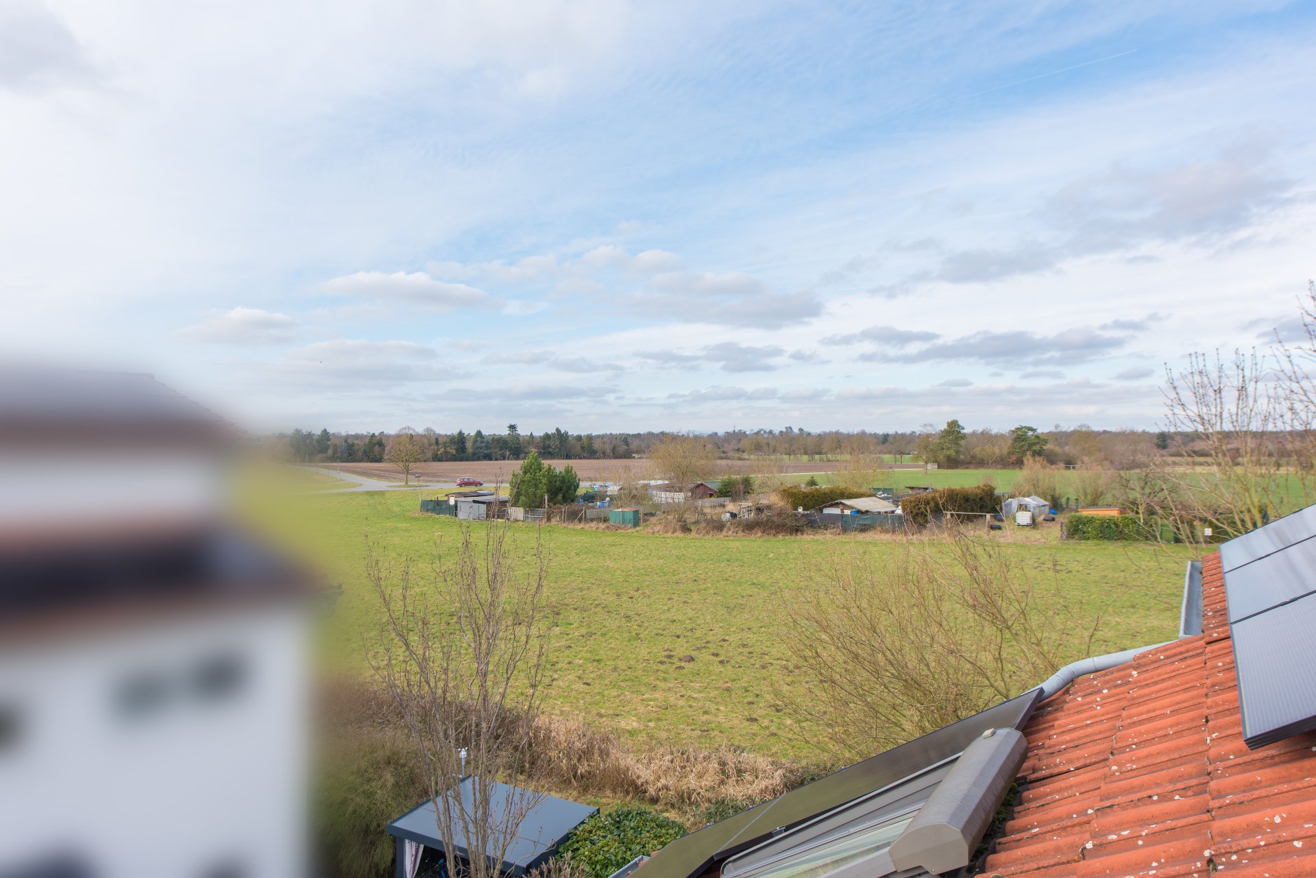 Blick zum nahen Feldrand - Oliver Reifferscheid - Immobilienmakler Darmstadt