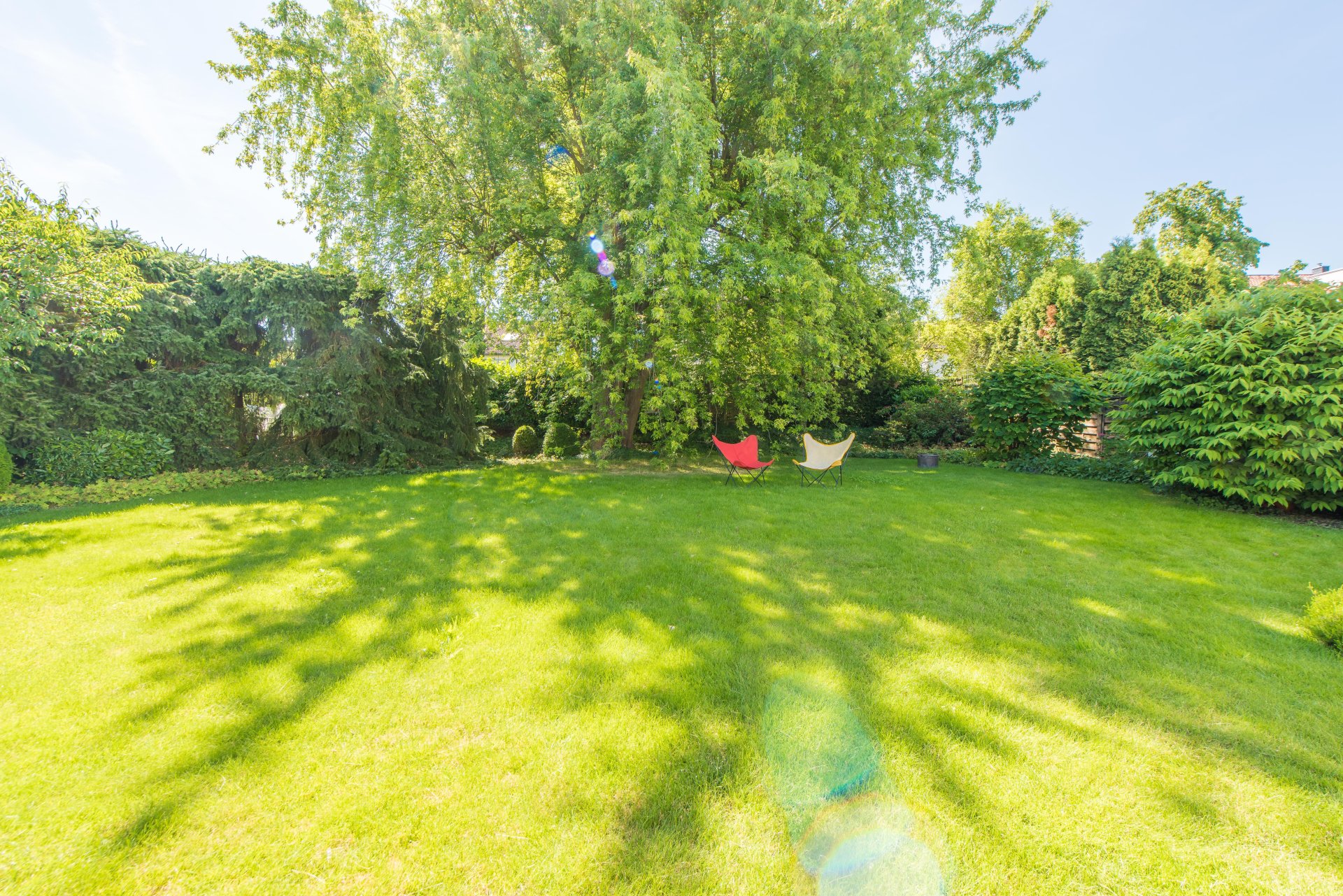 Der Baum ist wirklich ein Knaller - Oliver Reifferscheid - Immobilienmakler Darmstadt