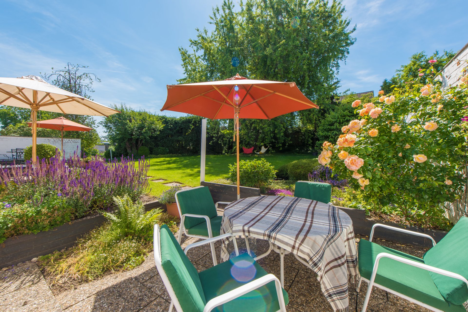 Toll - wie die Rosen duften, tiefergelegte Terrasse mit 2 Wänden als Sicht und Wetterschutz - Oliver Reifferscheid - Immobilienmakler Darmstadt