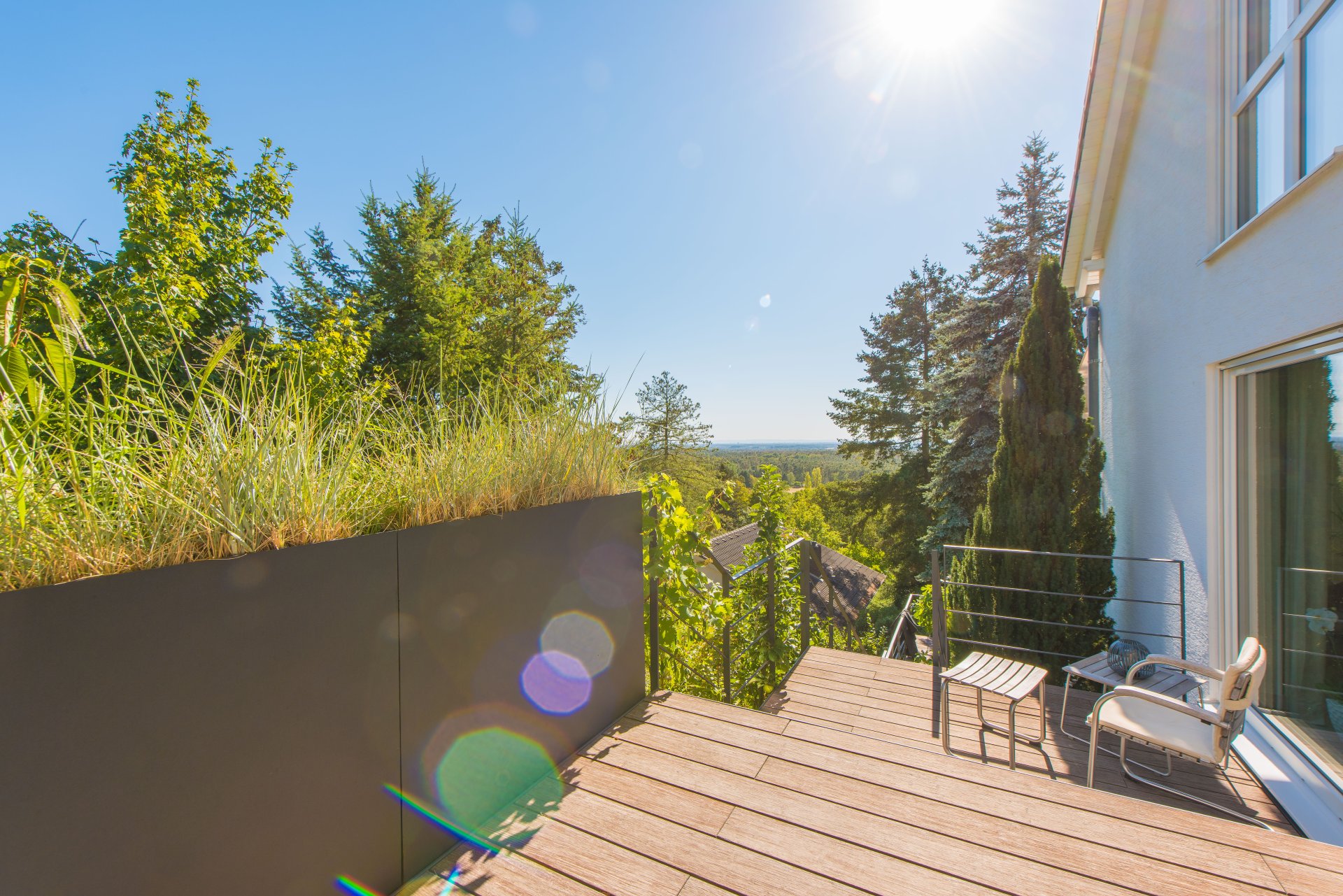 Die Südseite des Hauses mit vielen großen Fenstern - Oliver Reifferscheid - Immobilienmakler Darmstadt