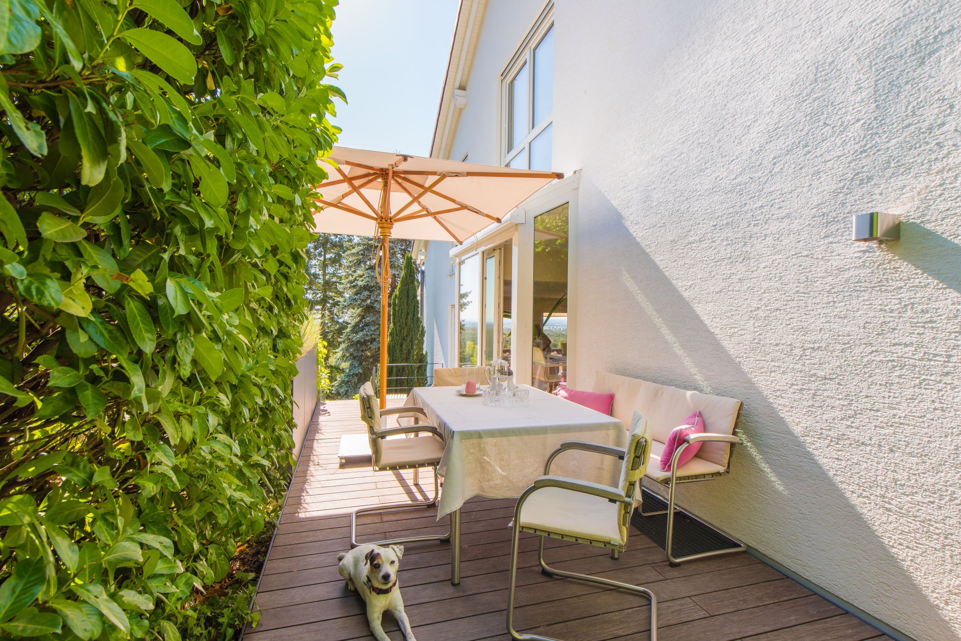 Homeoffice 2026, selbst der kapitale Wachhund liegt hier gerne rum (nicht im Kaufpreis enthalten) - Oliver Reifferscheid - Immobilienmakler Darmstadt