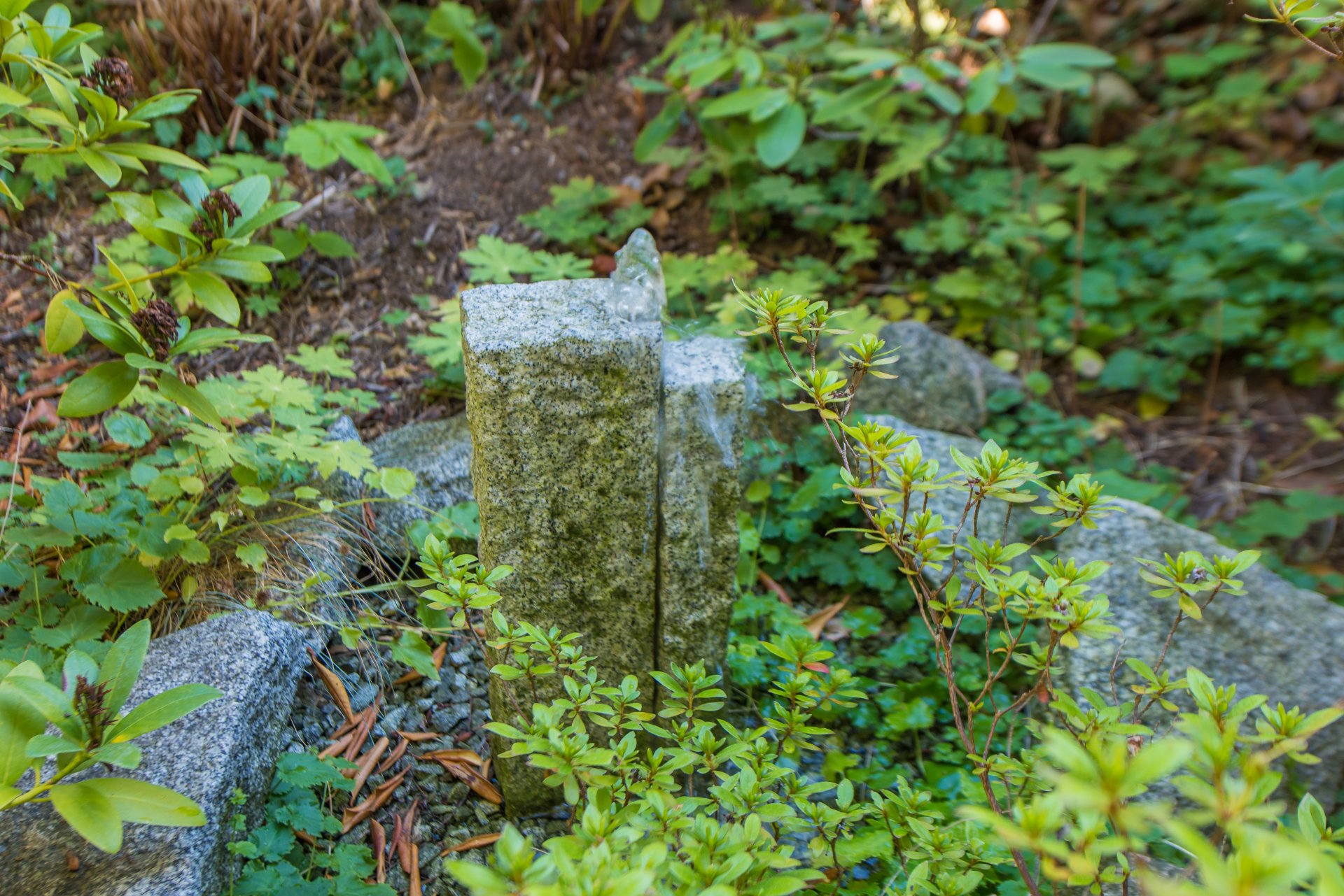 Direkt neben dem Bänkchen liegt ein kleiner Plätscherbrunnen, der über einen Lichtschalter im Haus an- und ausgestellt werden kann - Oliver Reifferscheid - Immobilienmakler Darmstadt